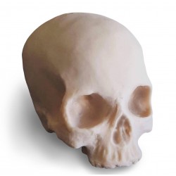 Crâne - Hybrid Skin